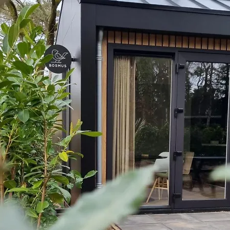 Holiday home Boslodge Bosmus - 4 Personen Tussen De Bomen