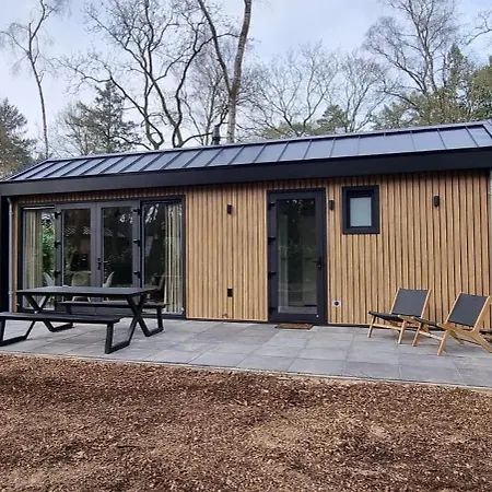 Boslodge Bosmus - 4 Personen Tussen De Bomen