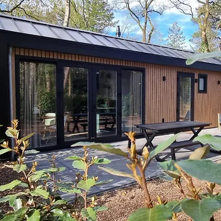 Holiday home Boslodge Bosmus - 4 Personen Tussen De Bomen