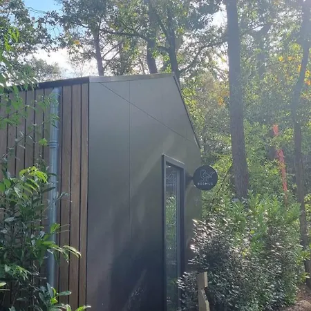 Boslodge Bosmus - 4 Personen Tussen De Bomen