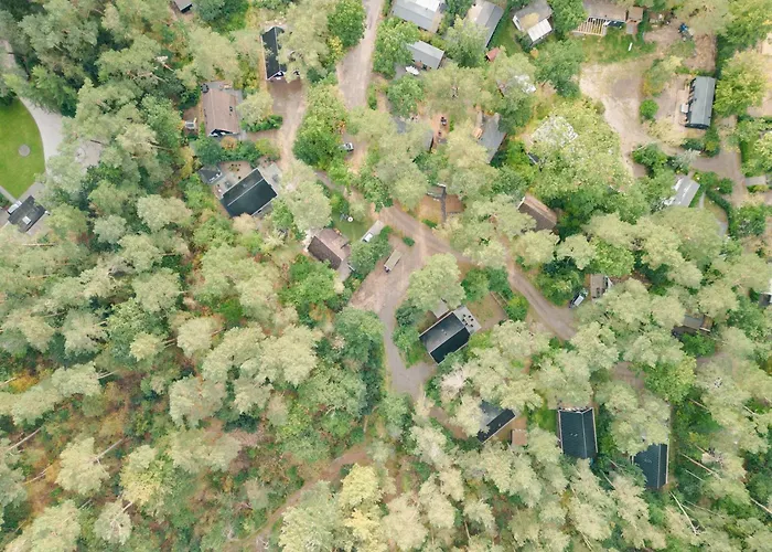 Dom wakacyjny Boslodge Bosmus - 4 Personen Tussen De Bomen *