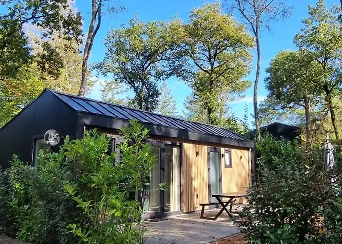 Boslodge Bosmus - 4 Personen Tussen De Bomen * Nunspeet