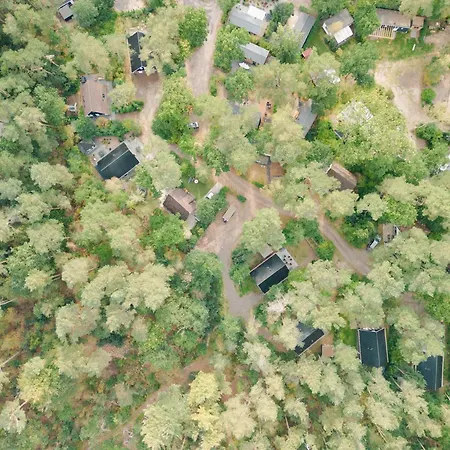 Сasa de vacaciones Boslodge Bosmus - 4 Personen Tussen De Bomen *