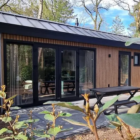 Boslodge Bosmus - 4 Personen Tussen De Bomen Сasa de vacaciones