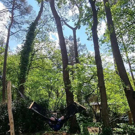 Boslodge Bosmus - 4 Personen Tussen De Bomen Сasa de vacaciones