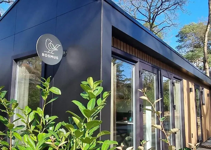 Boslodge Bosmus - 4 Personen Tussen De Bomen