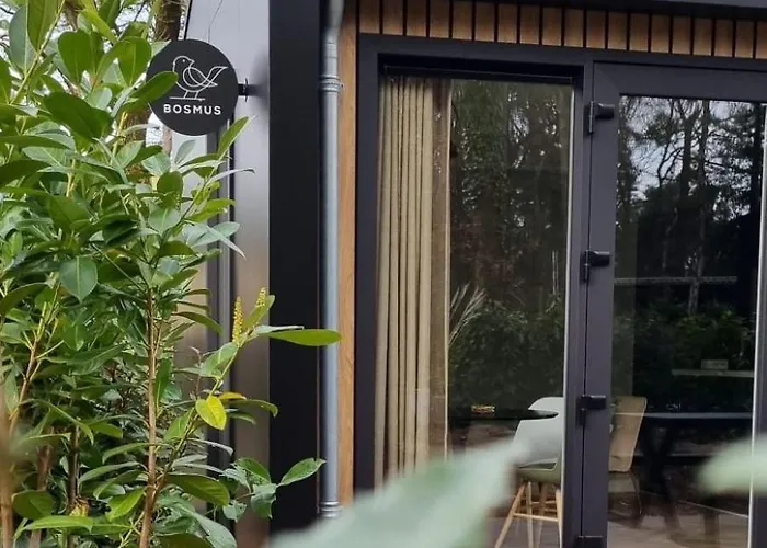 Сasa de vacaciones Boslodge Bosmus - 4 Personen Tussen De Bomen