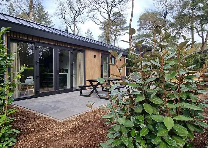 Сasa de vacaciones Boslodge Bosmus - 4 Personen Tussen De Bomen