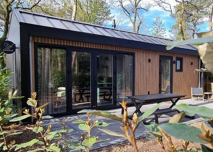 Boslodge Bosmus - 4 Personen Tussen De Bomen Сasa de vacaciones
