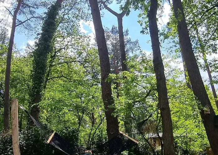 Boslodge Bosmus - 4 Personen Tussen De Bomen Сasa de vacaciones