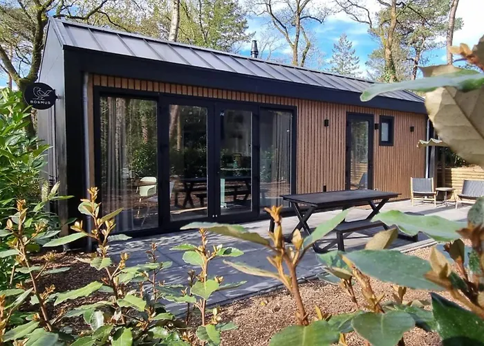 Сasa de vacaciones Boslodge Bosmus - 4 Personen Tussen De Bomen