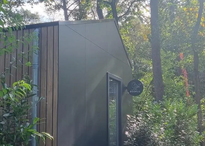 Boslodge Bosmus - 4 Personen Tussen De Bomen